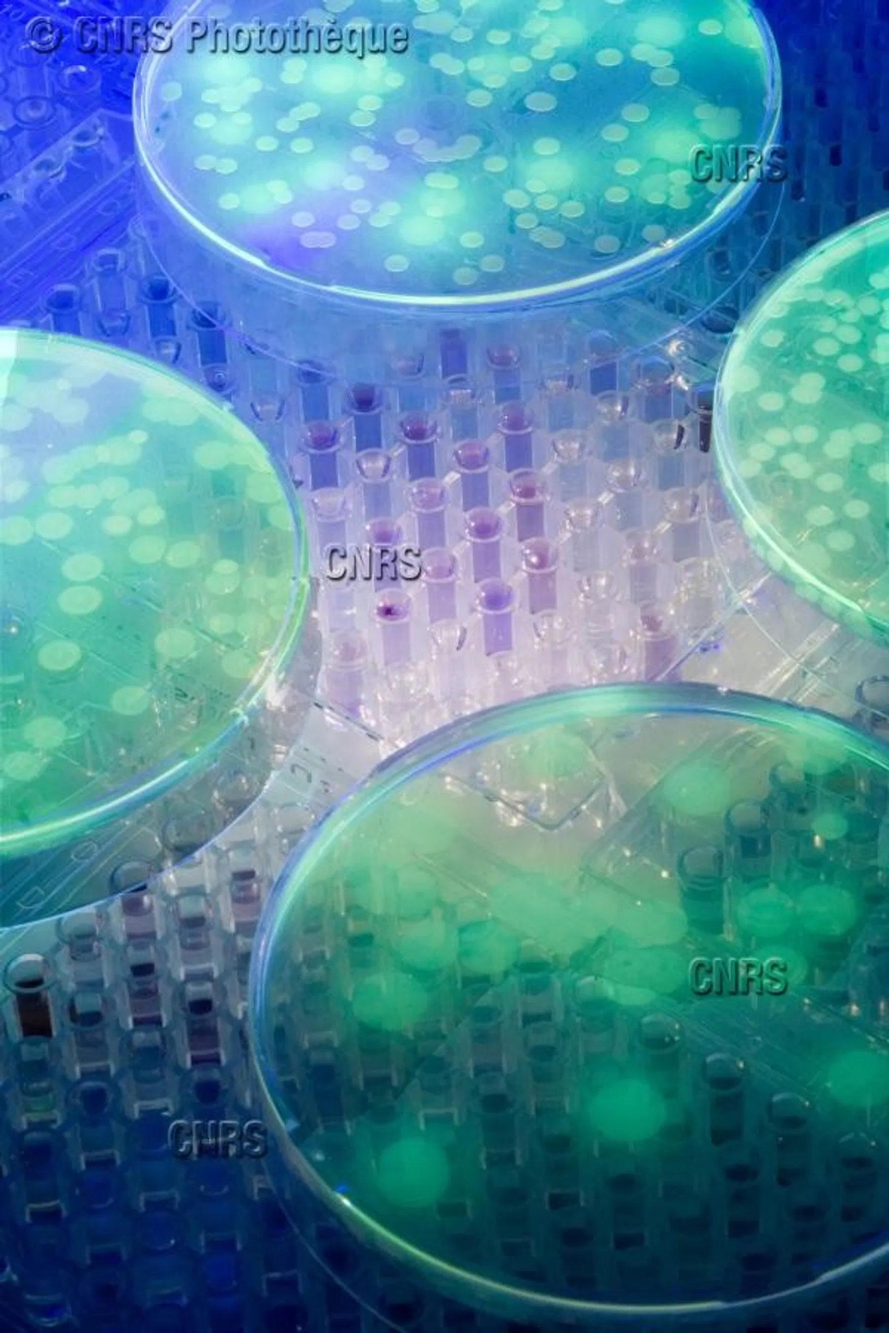 CNRS Innovation header