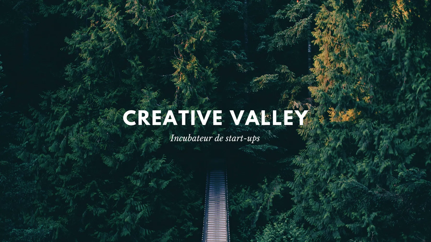Creative Valley header