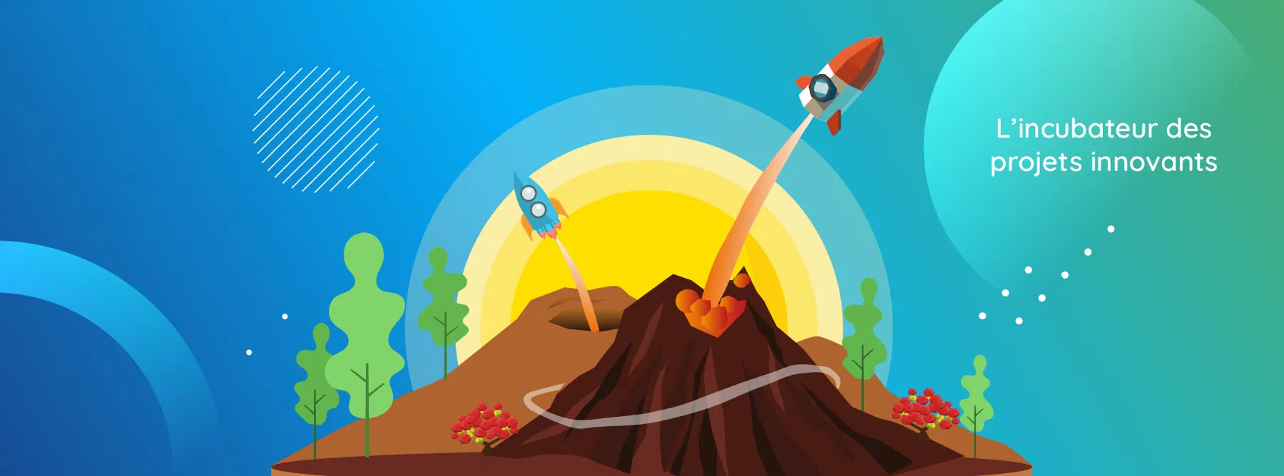 Seeds header