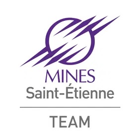 TEAM - Mines Saint-Étienne logo